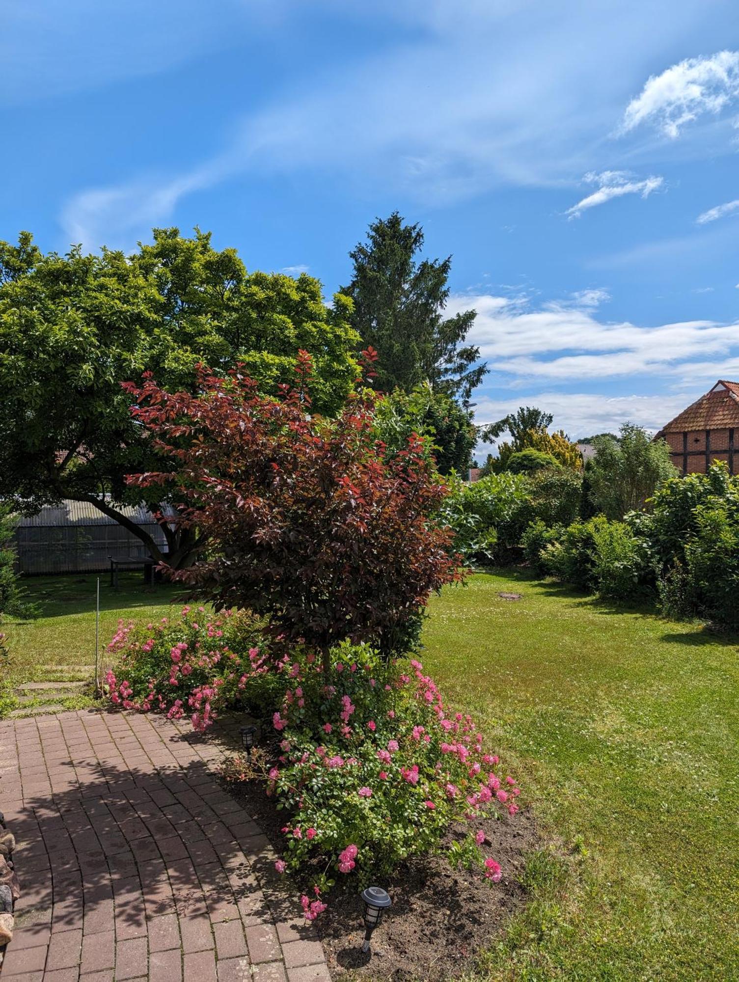 Ferienwohnung Bullersberg Balge Esterno foto