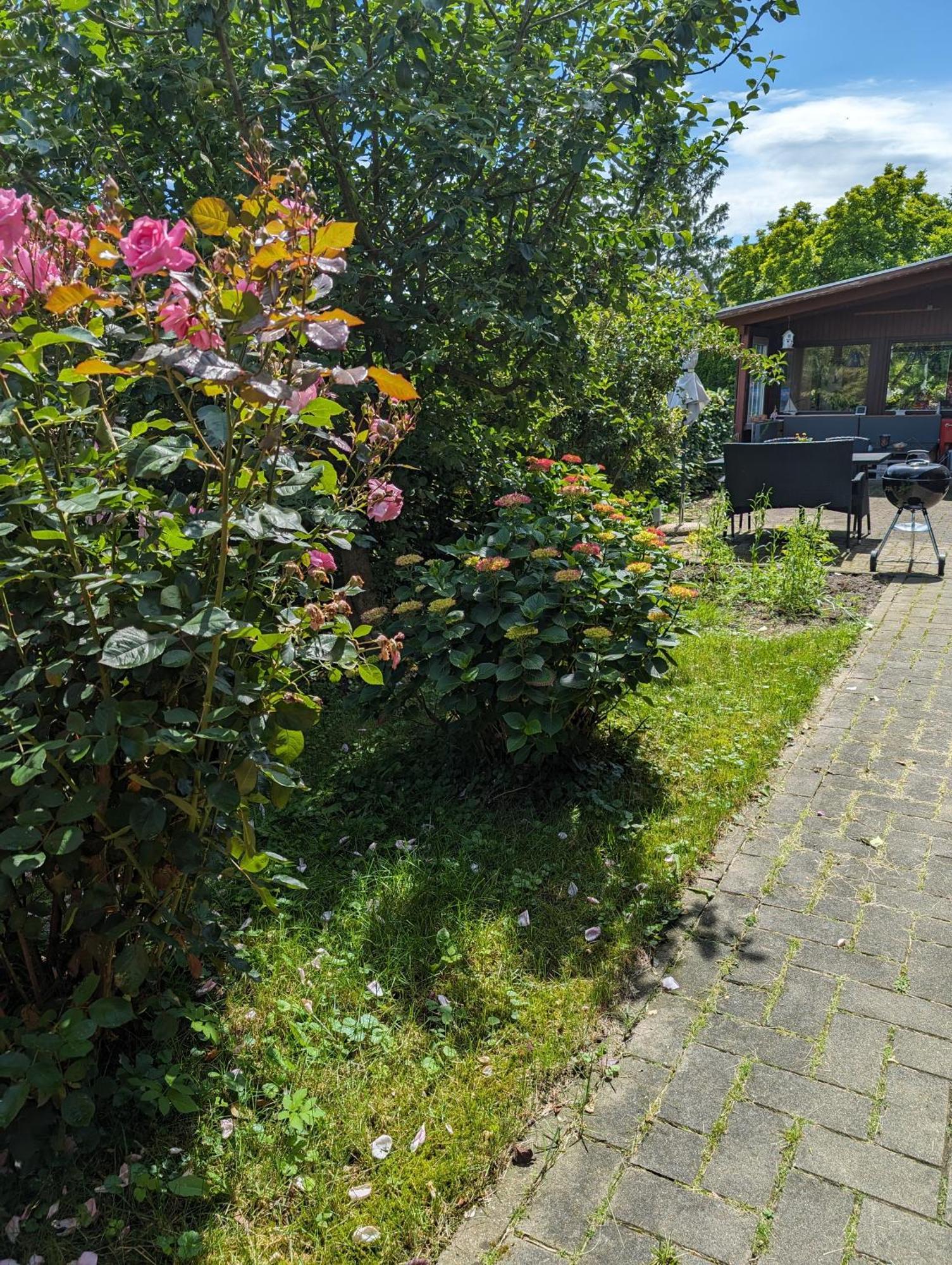 Ferienwohnung Bullersberg Balge Esterno foto